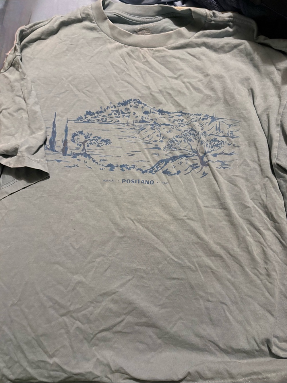 American Eagle Outfitters Light Sage Graphic Tee with Blue Print